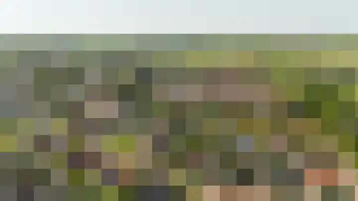 de Oppervloer 9 Meliskerke thumbnail 50