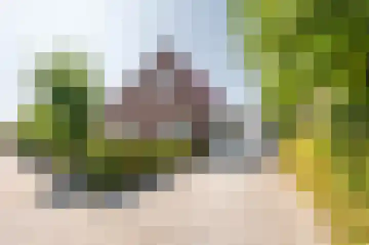 de Oppervloer 9 Meliskerke thumbnail 6