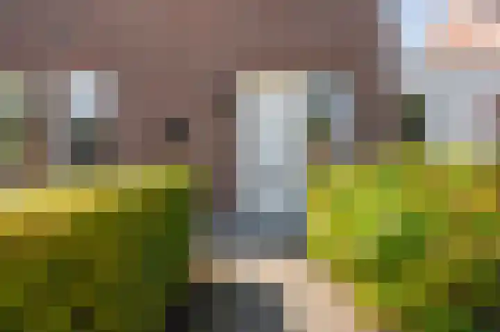 de Oppervloer 9 Meliskerke thumbnail 9