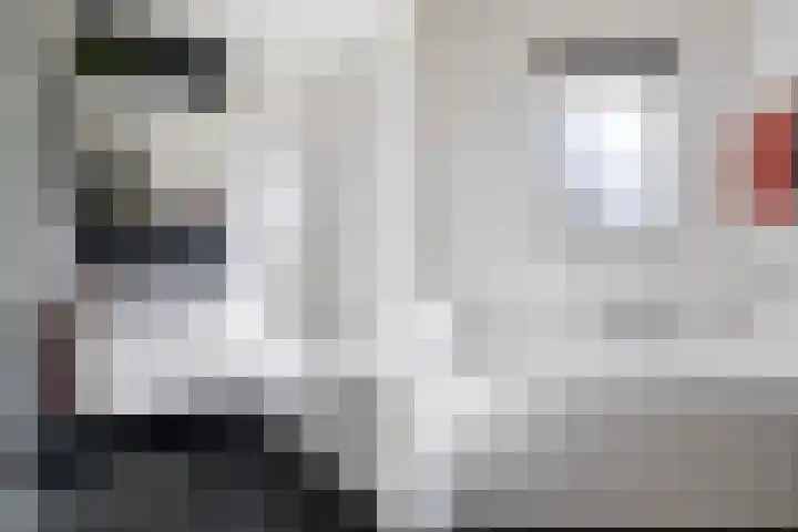 De Opslach 12 Berltsum thumbnail 10
