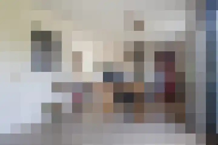 De Opslach 12 Berltsum thumbnail 14