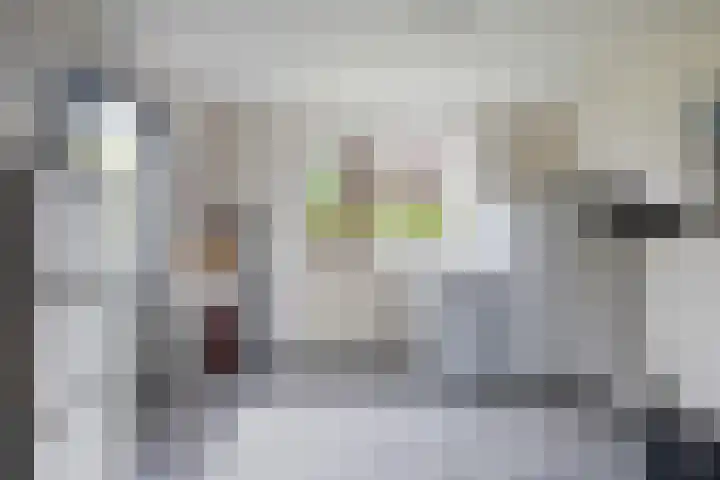 De Opslach 12 Berltsum thumbnail 20
