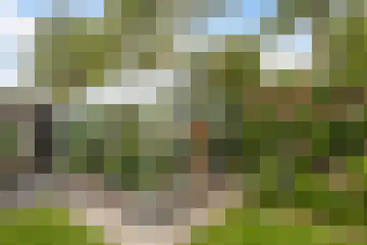 De Opslach 12 Berltsum thumbnail 31