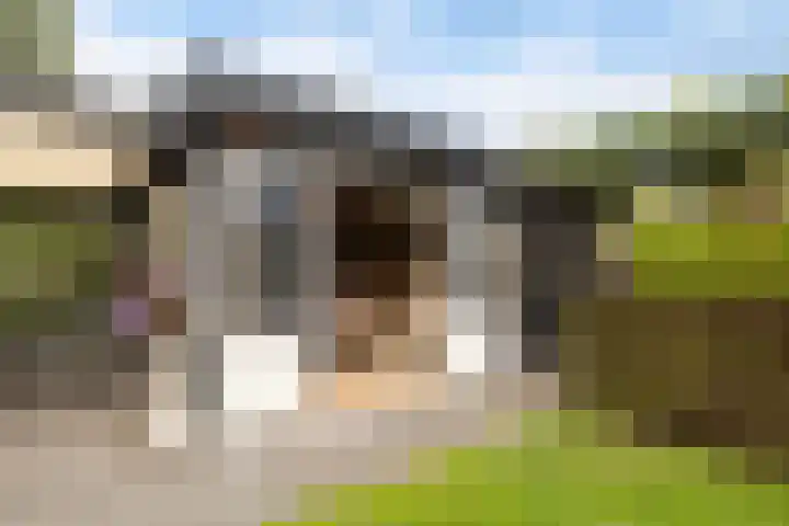 De Opslach 12 Berltsum thumbnail 33