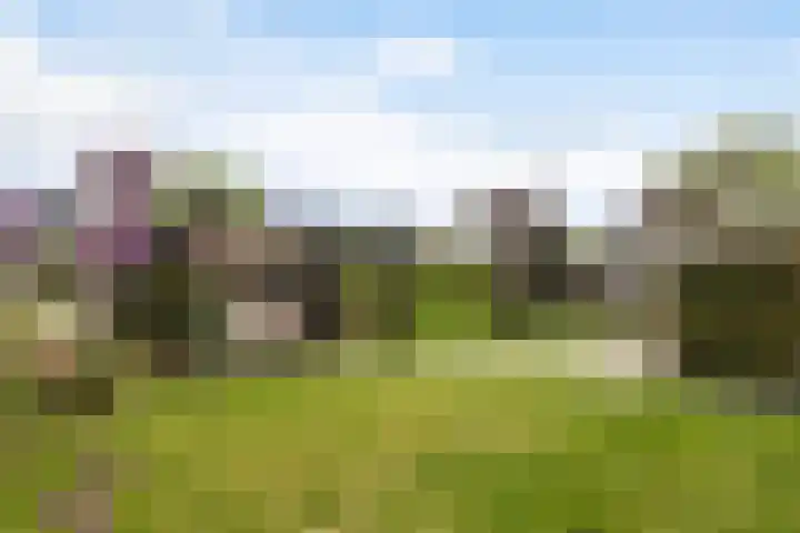 De Opslach 12 Berltsum thumbnail 35