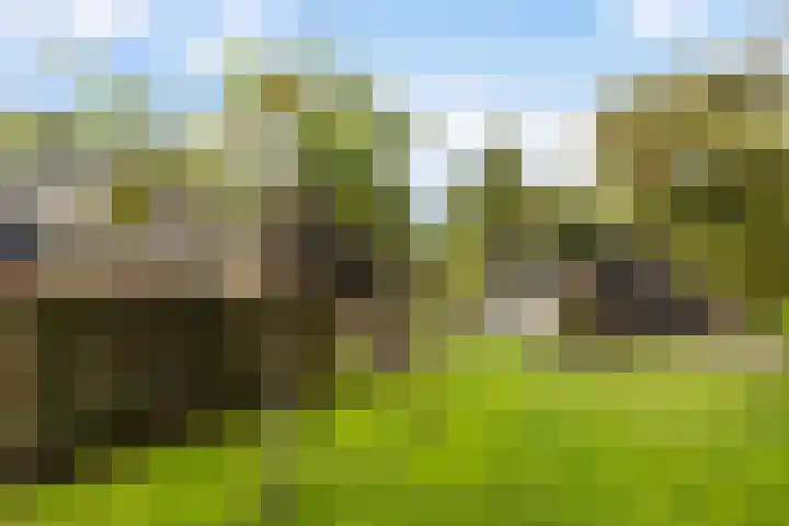 De Opslach 12 Berltsum thumbnail 36