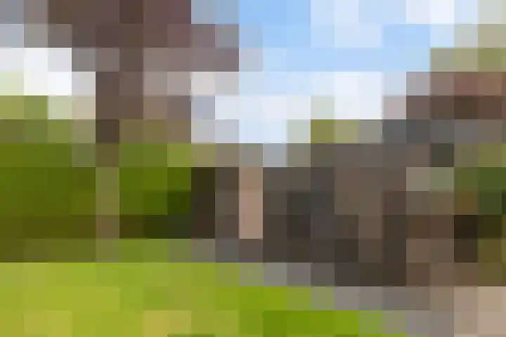 De Opslach 12 Berltsum thumbnail 37
