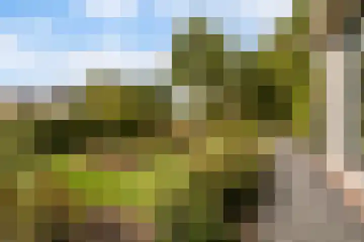 De Opslach 12 Berltsum thumbnail 43