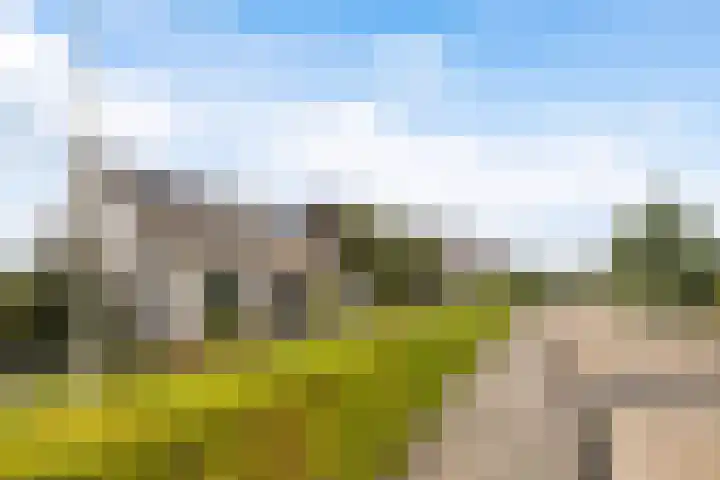 De Opslach 12 Berltsum thumbnail 46