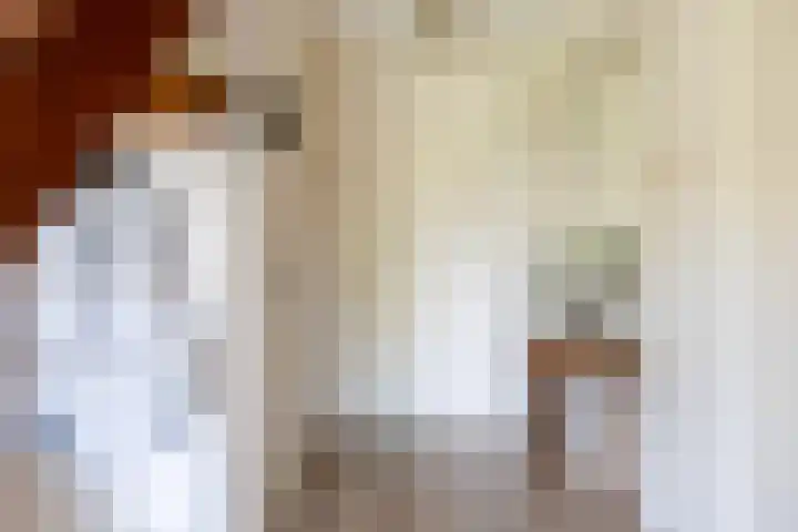 De Opslach 12 Berltsum thumbnail 5