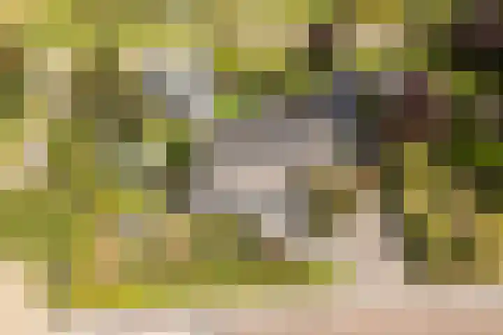 De Opslach 12 Berltsum thumbnail 50