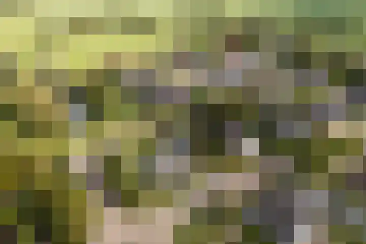 De Opslach 12 Berltsum thumbnail 51