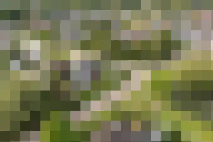 De Opslach 12 Berltsum thumbnail 54