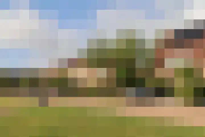 De Opslach 13 Leeuwarden thumbnail 53