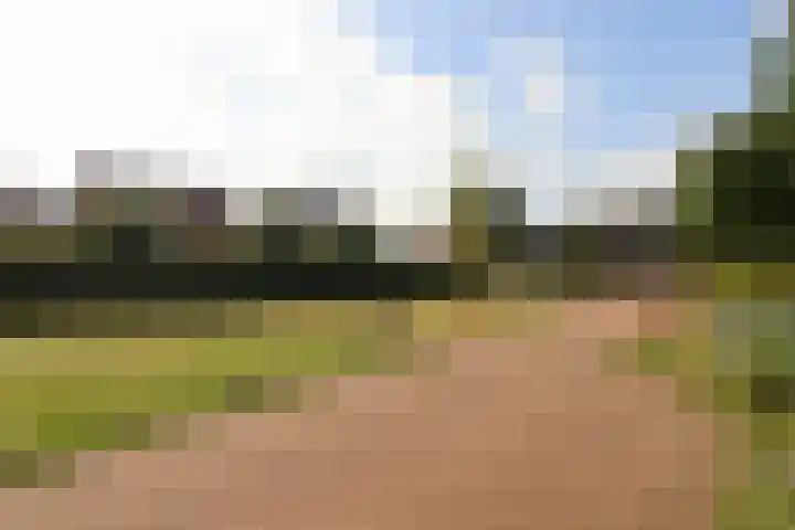 De Opslach 13 Leeuwarden thumbnail 54