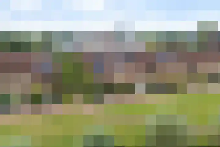 De Opslach 13 Leeuwarden thumbnail 61