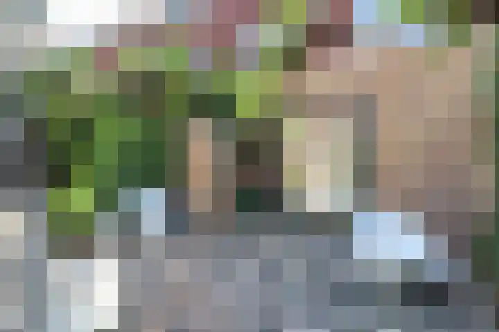 De Opslach 13 Leeuwarden thumbnail 7