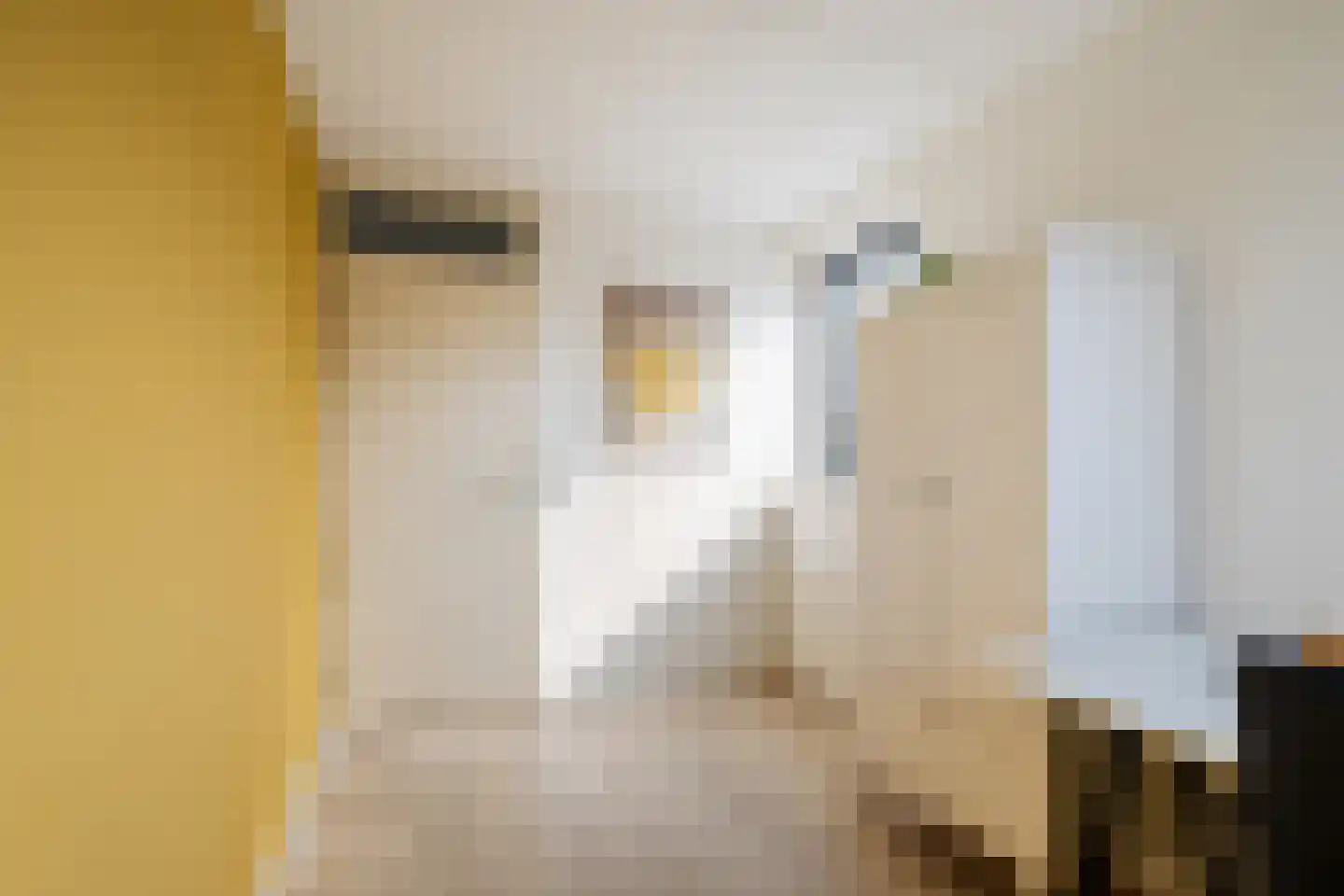 De Opslach 26 Ryptsjerk thumbnail 30