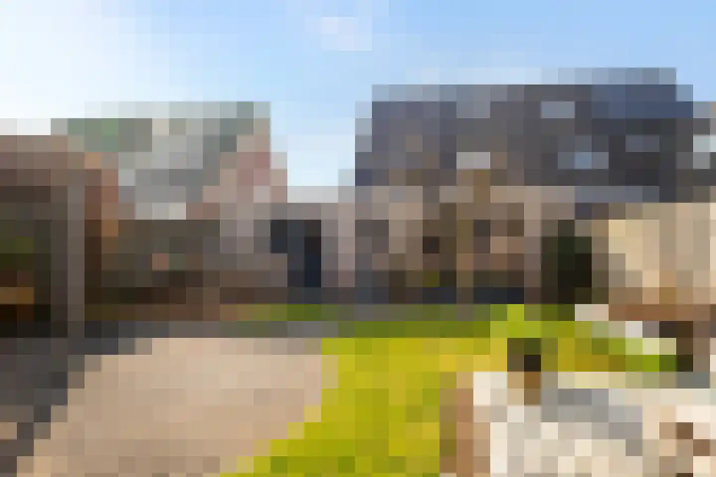 De Opslach 26 Ryptsjerk thumbnail 41