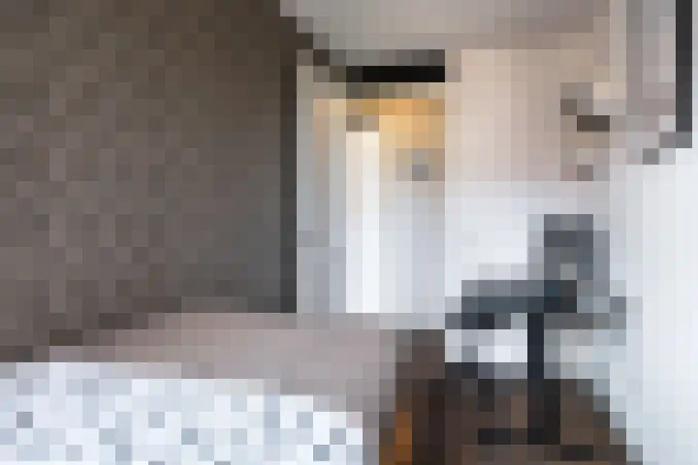 De Opslach 92 Leeuwarden thumbnail 23