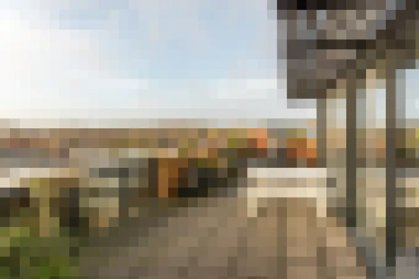 De Opslach 96 Leeuwarden thumbnail 17