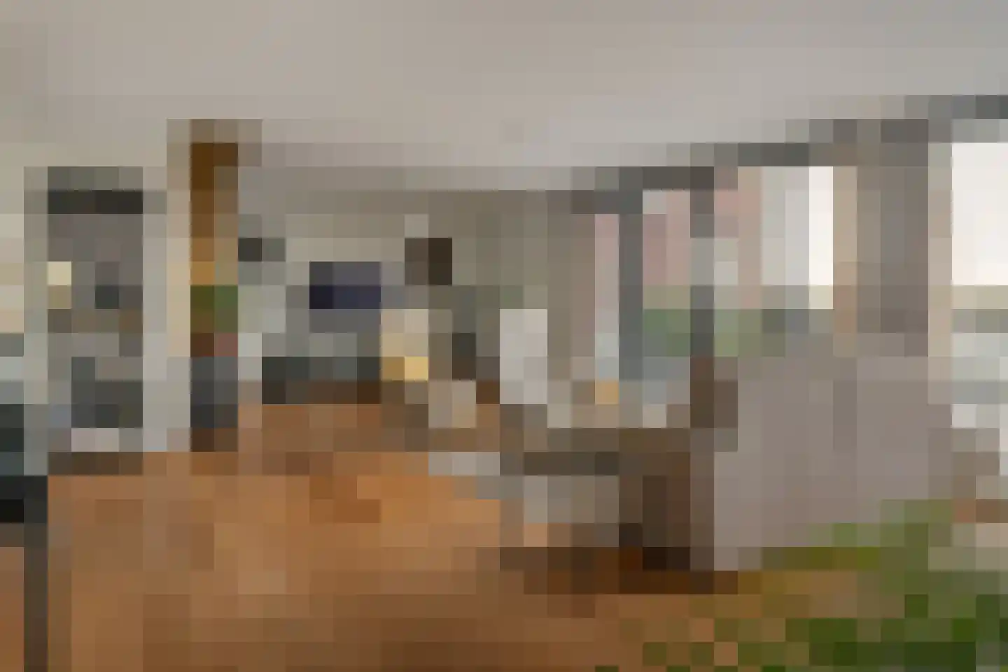 De Opslach 96 Leeuwarden thumbnail 4