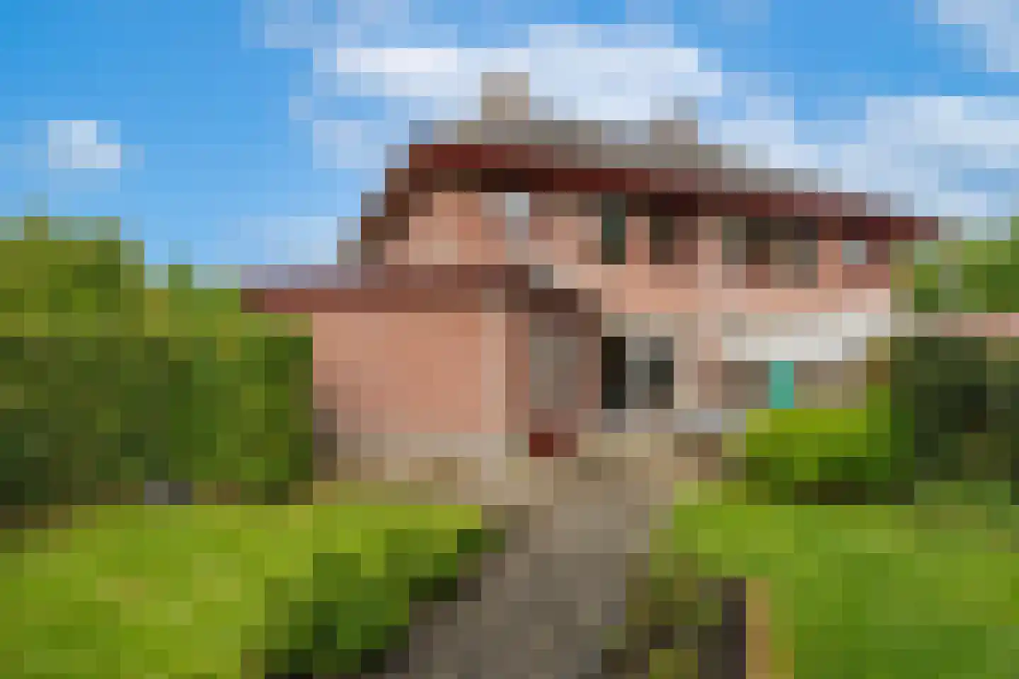 De Opstekker 32 Nes thumbnail 19