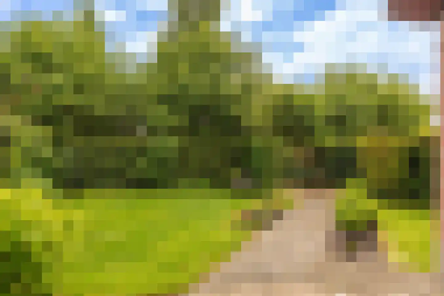 De Opstekker 32 Nes thumbnail 21