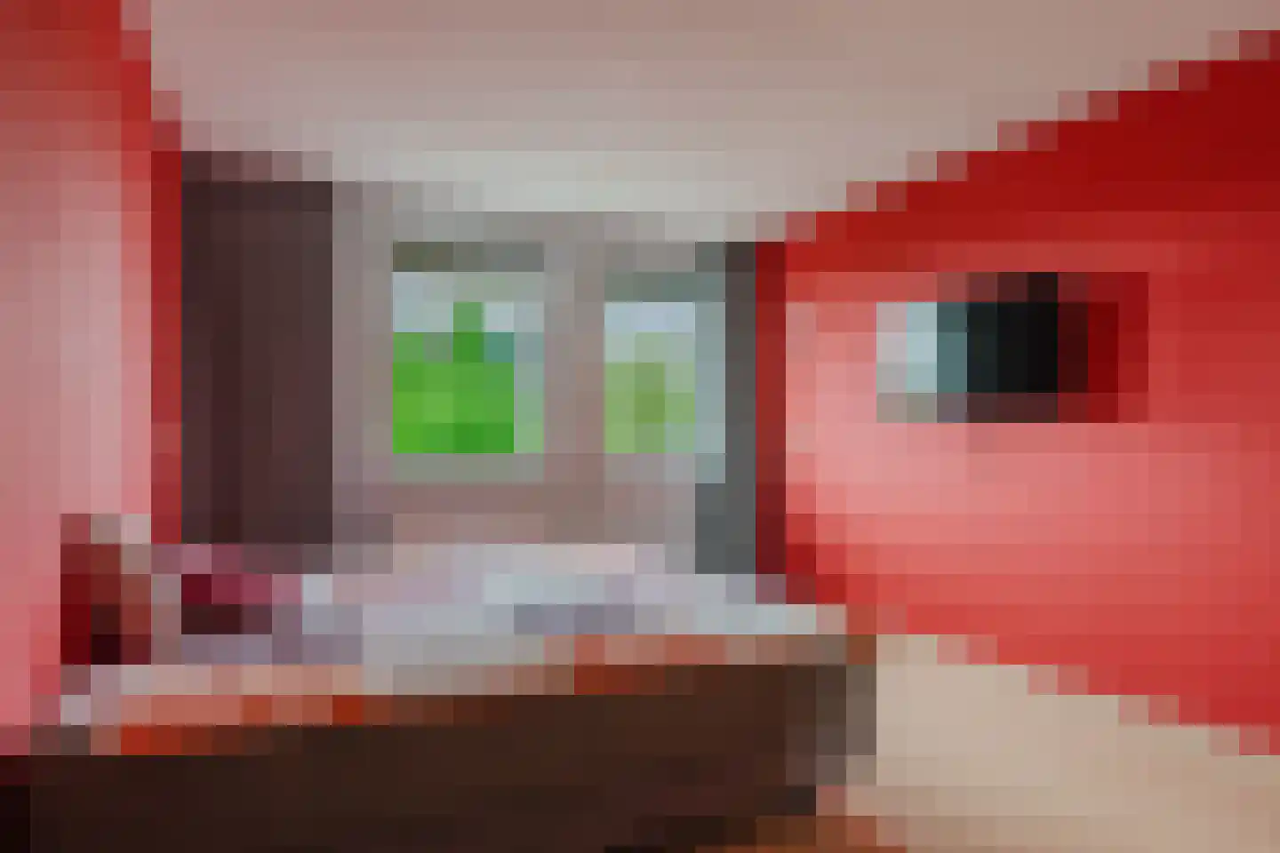 De Opstekker 32 Nes thumbnail 30