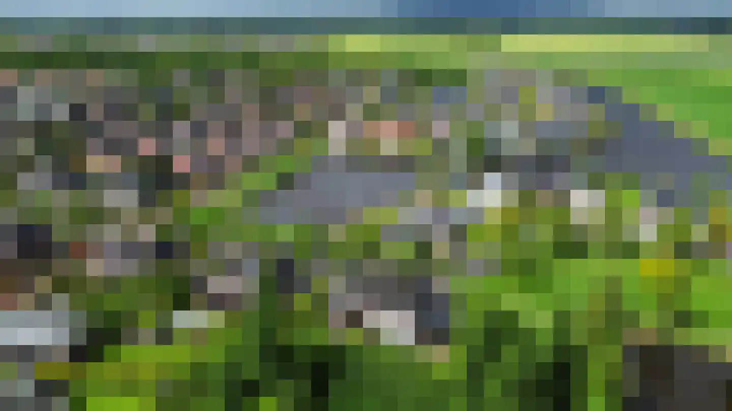 De Opstekker 32 Nes thumbnail 37