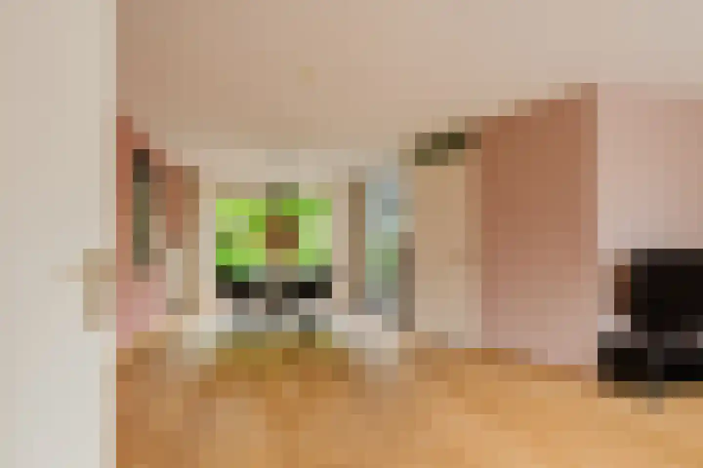 De Opstekker 32 Nes thumbnail 9
