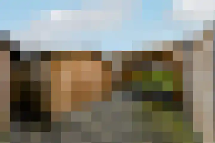 De Orion 11 Drachten thumbnail 37