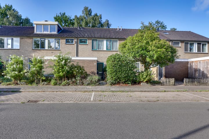 De Otter 19 in Deventer Foto