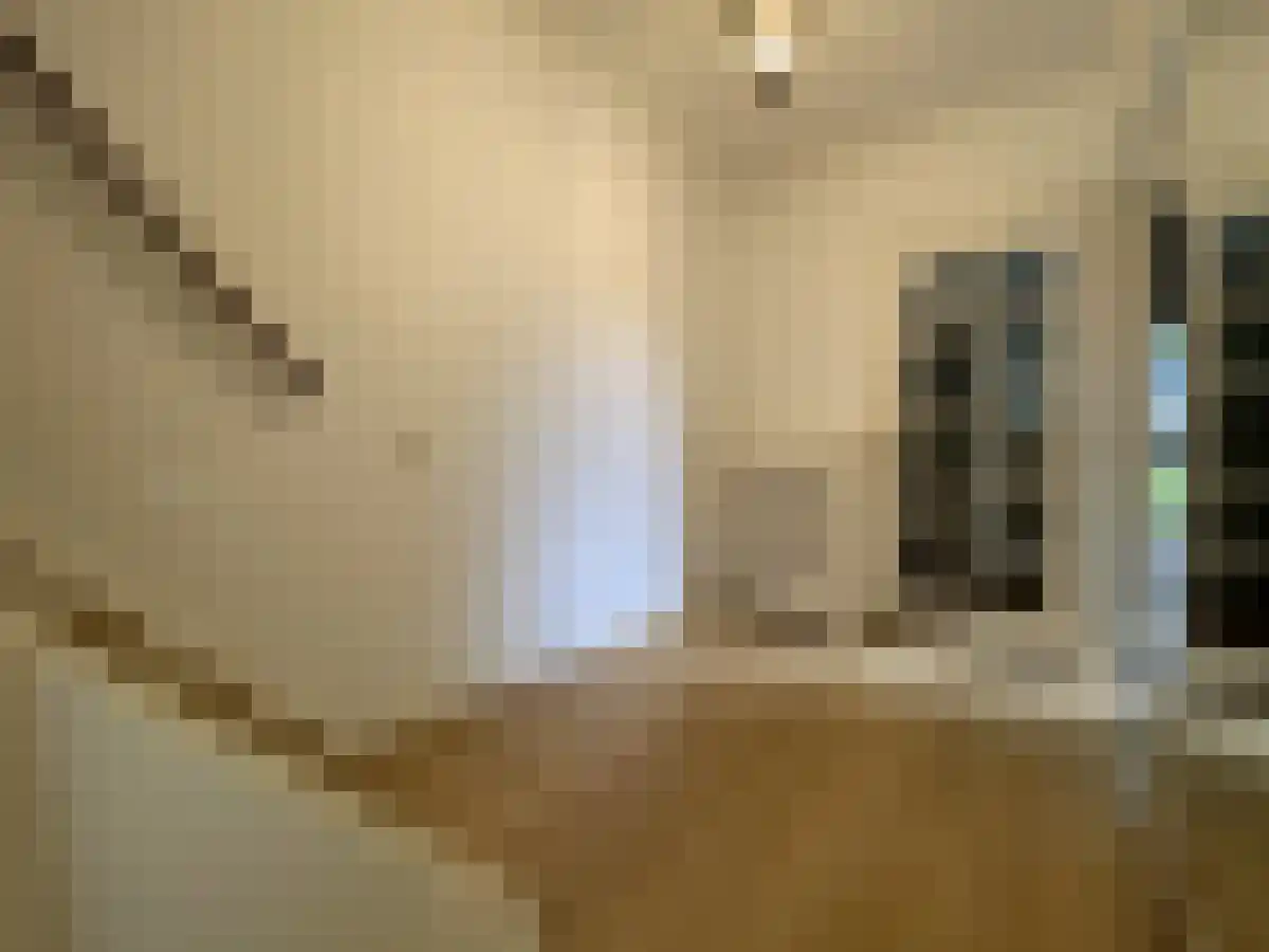 de Oude Bleijk 70 Leidschendam thumbnail 5
