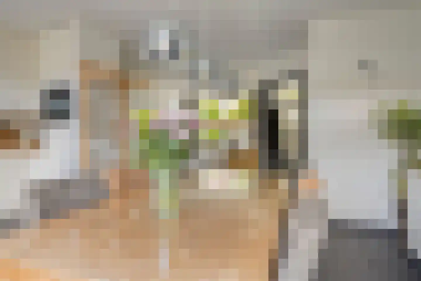 De Oude Kamp 26 Rosmalen thumbnail 5
