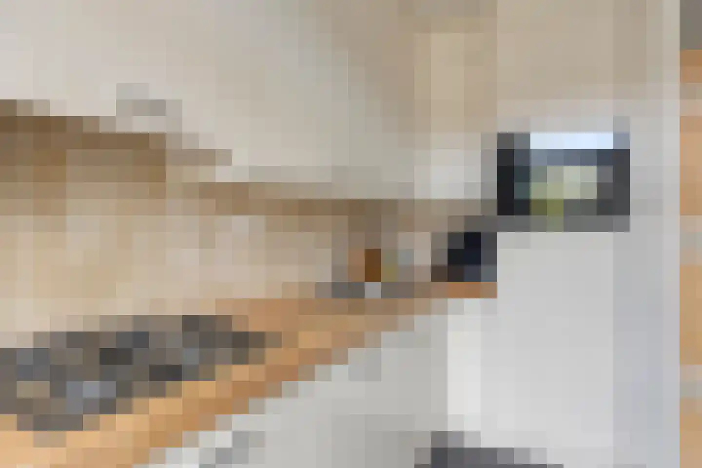 De Oude Kamp 26 Rosmalen thumbnail 9