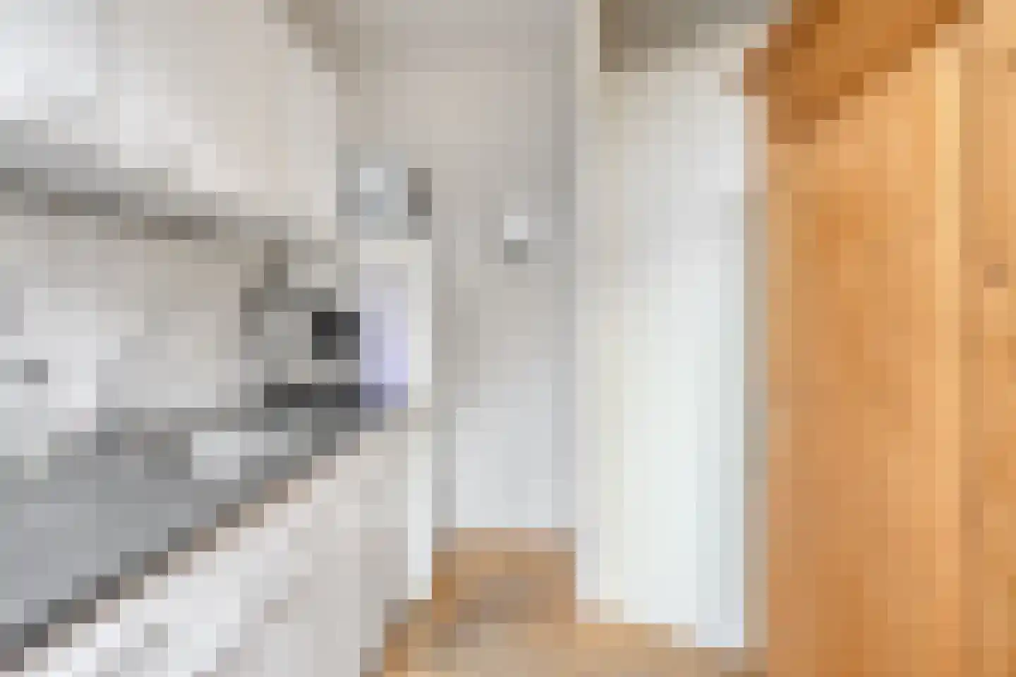 De Oude Kamp 30 Rosmalen thumbnail 12
