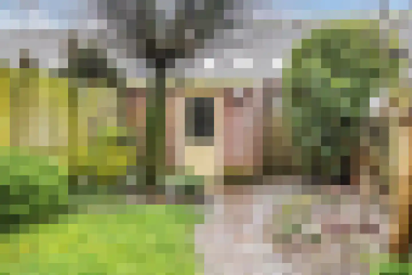 De Oude Kamp 30 Rosmalen thumbnail 24