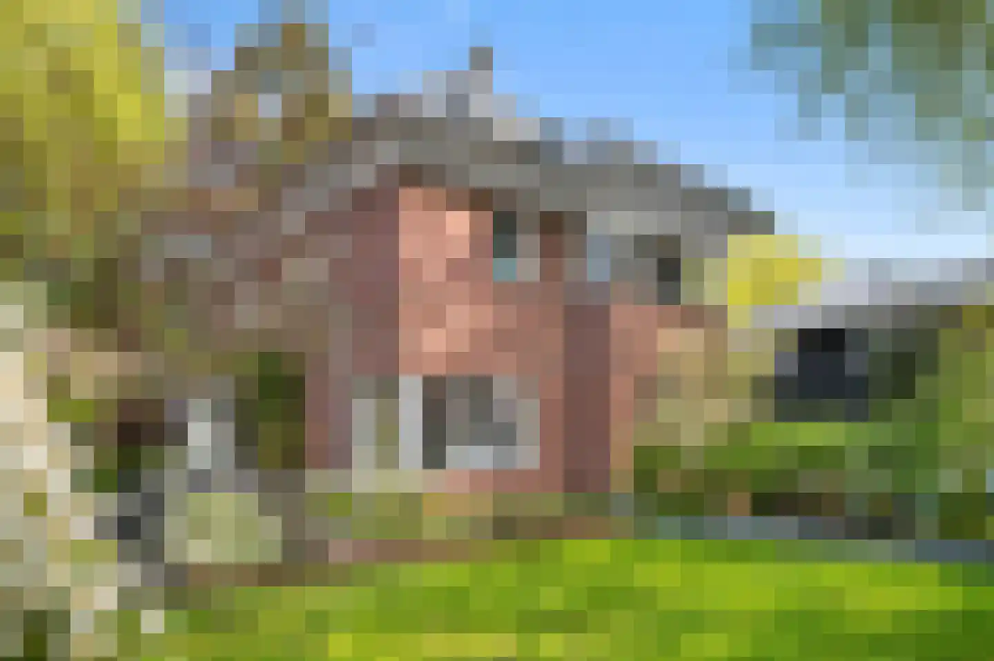 De Oude Klarenbeek 5 in Ugchelen