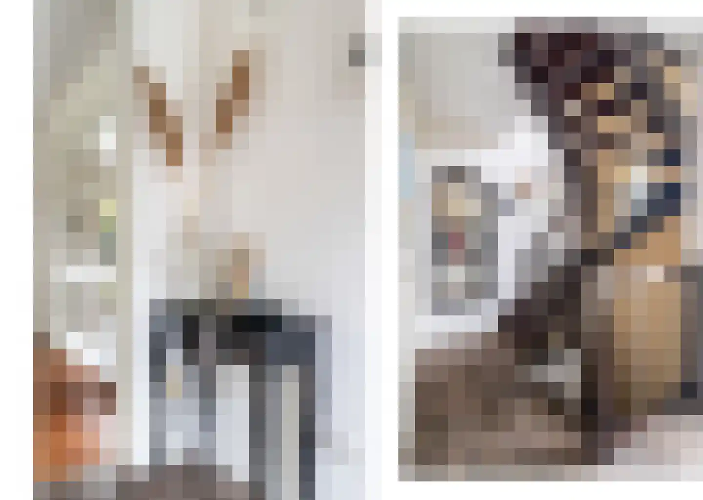 De Oude Klarenbeek 5 Ugchelen thumbnail 22