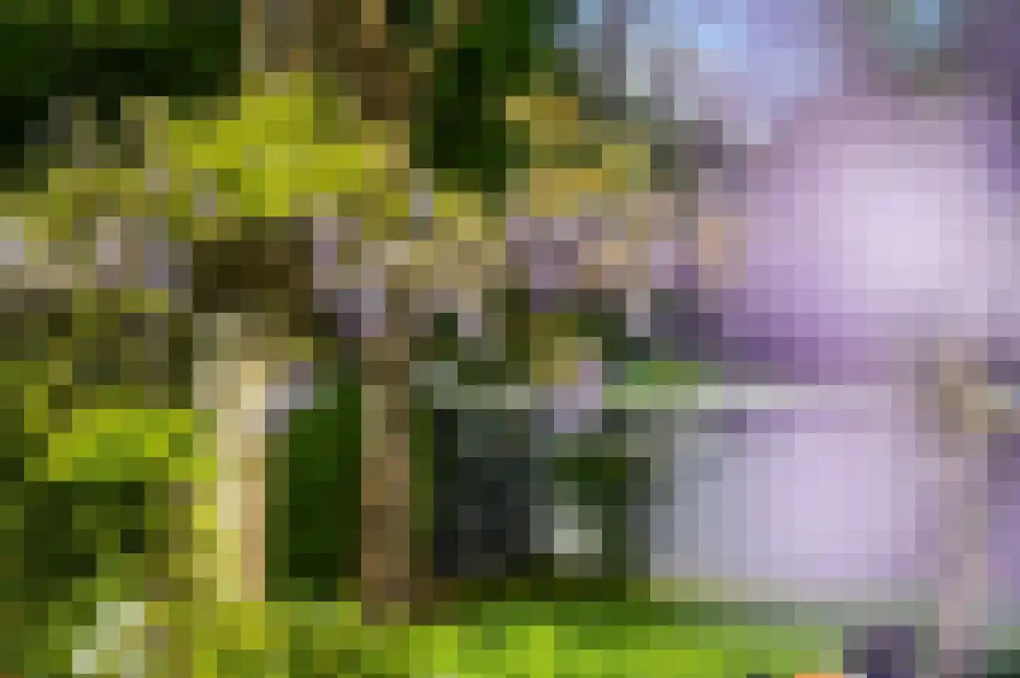 De Oude Klarenbeek 5 Ugchelen thumbnail 54