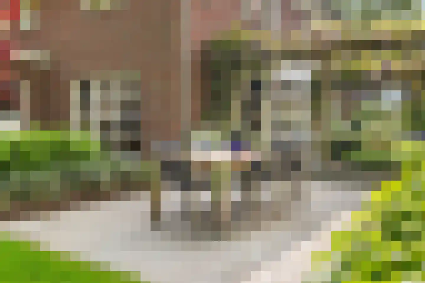 De Oude Klarenbeek 5 Ugchelen thumbnail 56