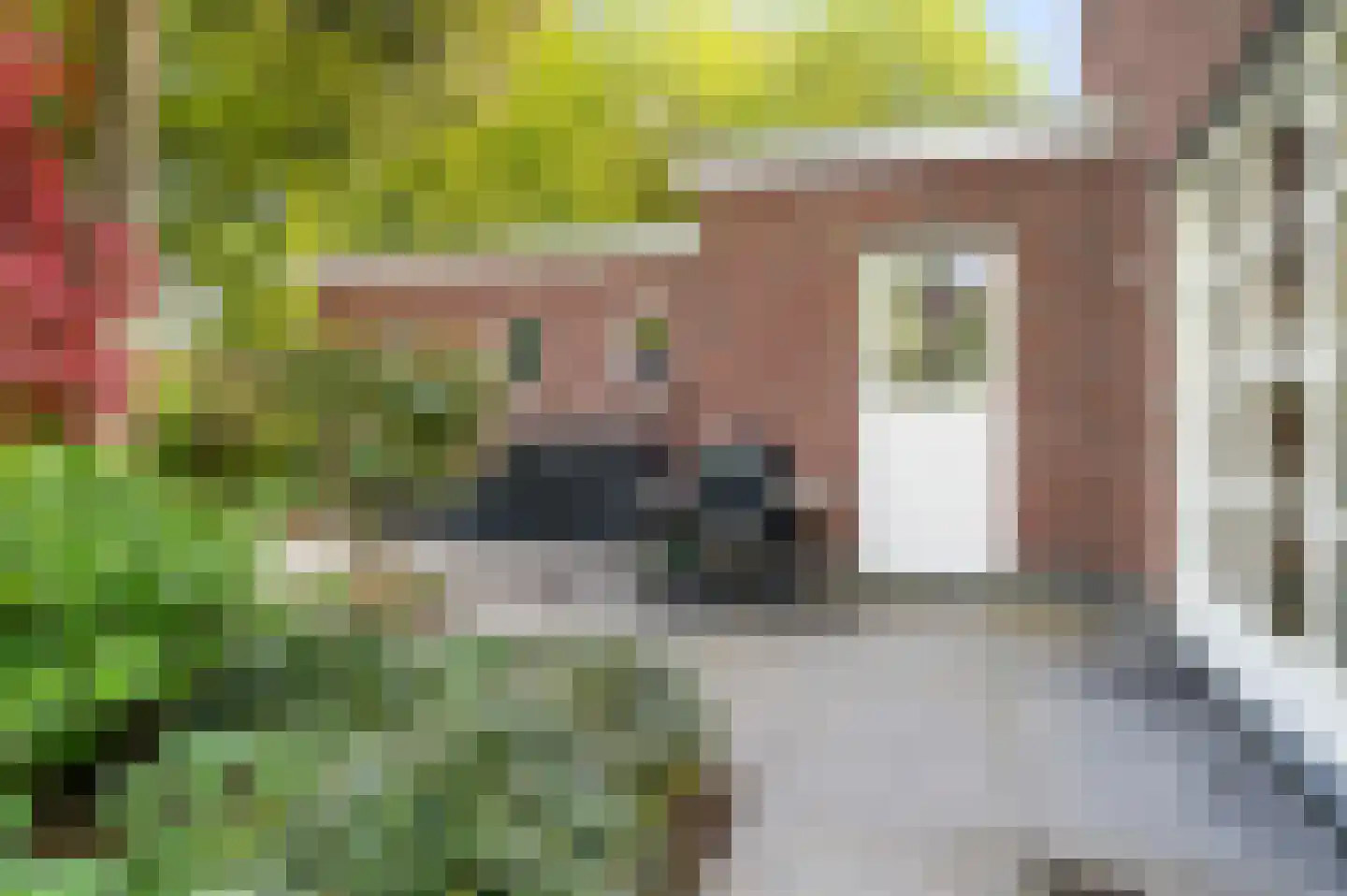 De Oude Klarenbeek 5 Ugchelen thumbnail 57