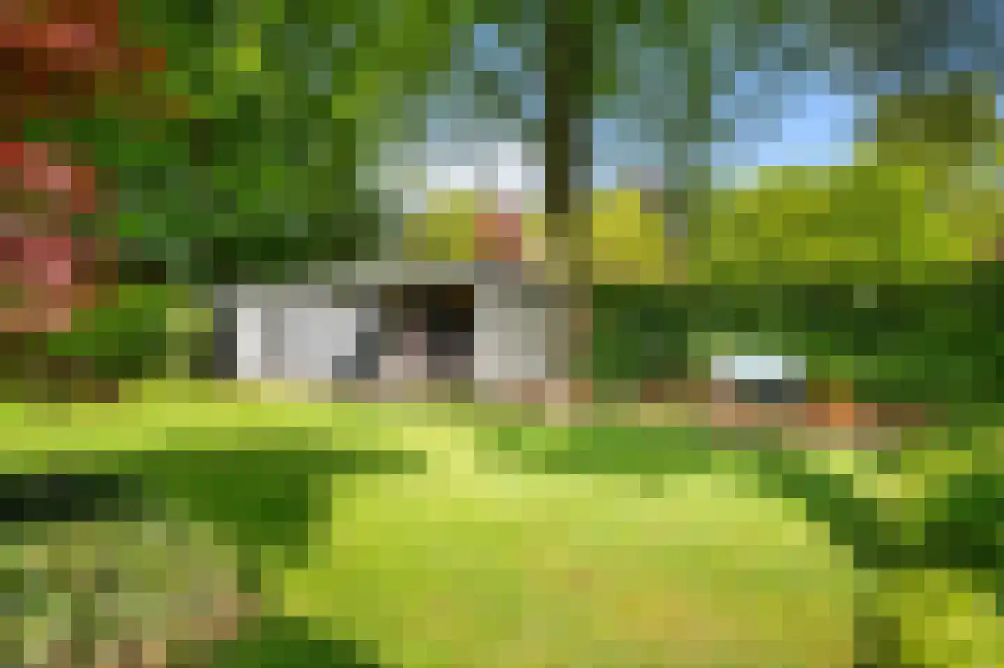 De Oude Klarenbeek 5 Ugchelen thumbnail 58