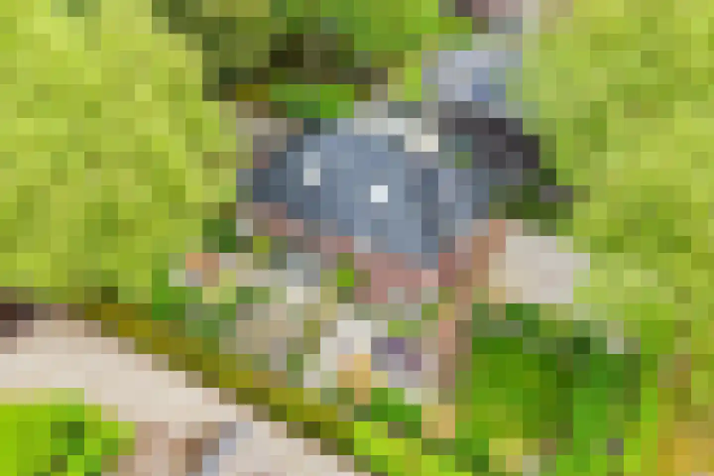 De Oude Klarenbeek 5 Ugchelen thumbnail 69
