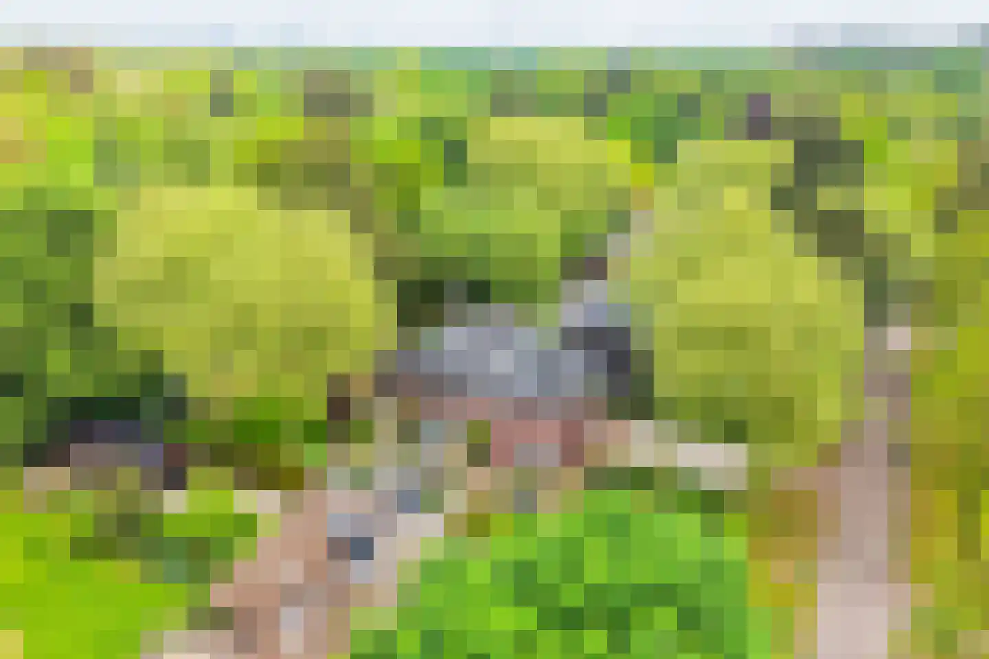 De Oude Klarenbeek 5 Ugchelen thumbnail 70