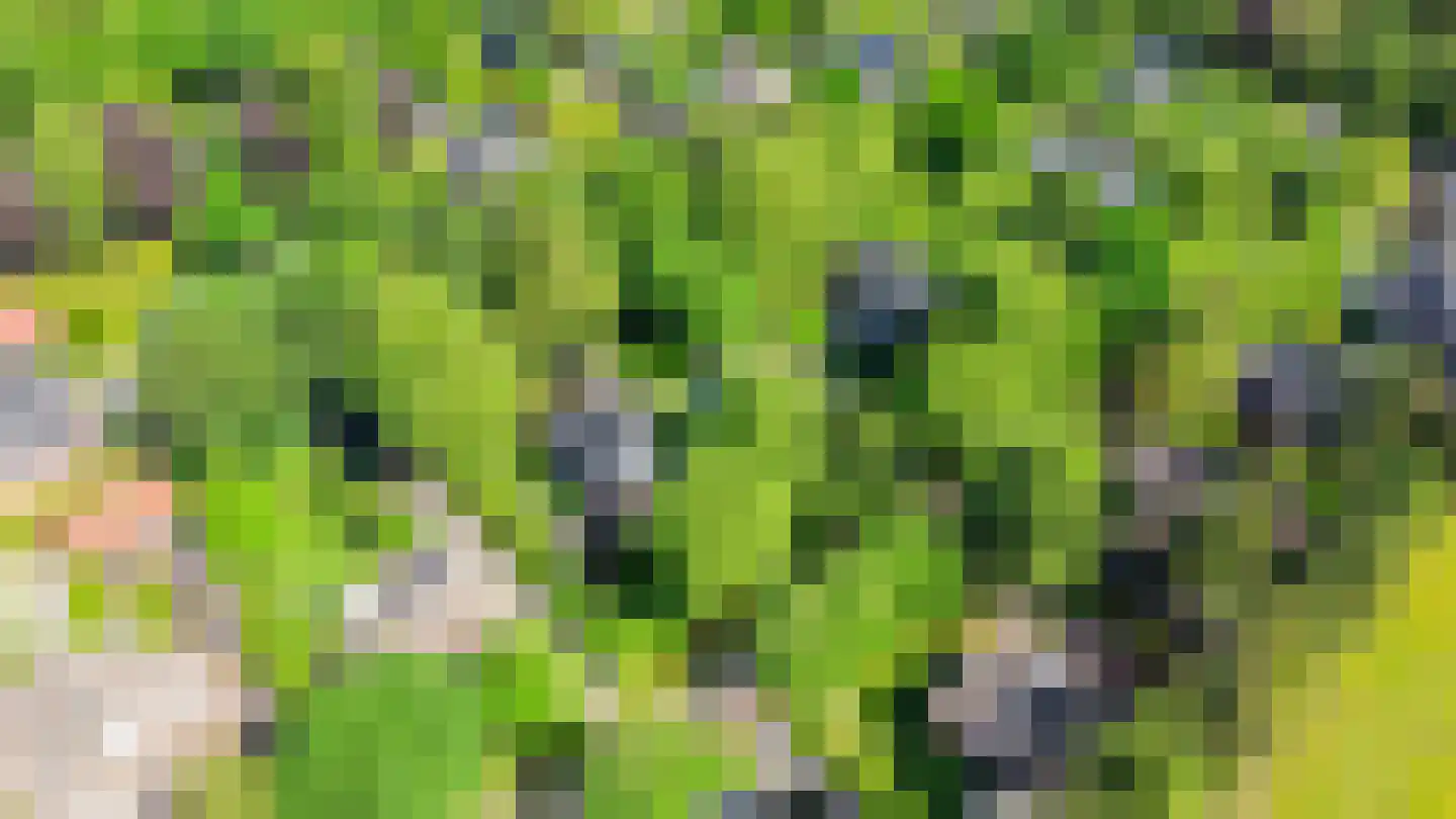De Oude Klarenbeek 5 Ugchelen thumbnail 72