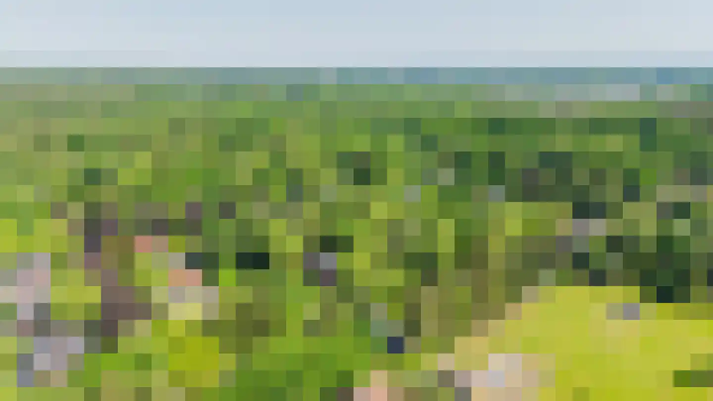 De Oude Klarenbeek 5 Ugchelen thumbnail 73