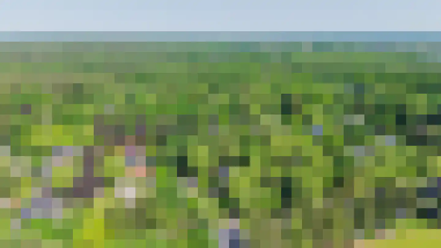 De Oude Klarenbeek 5 Ugchelen thumbnail 75