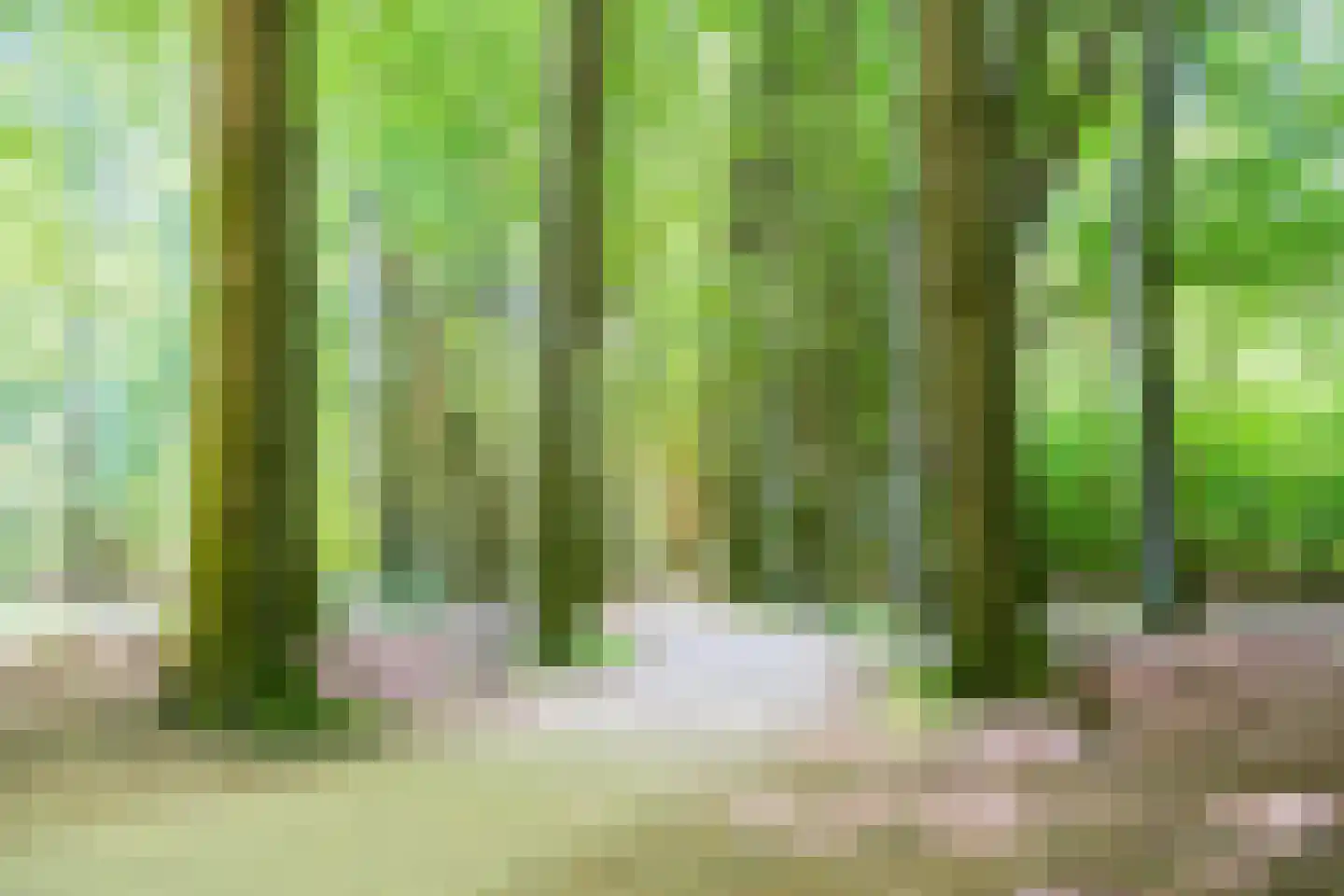 De Oude Klarenbeek 5 Ugchelen thumbnail 76